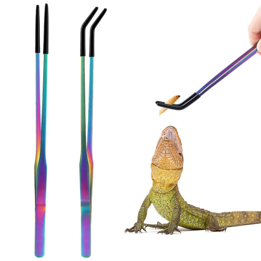 2PCS Stainless Steel Reptile F - Feeding Tong Stainless recension och pris